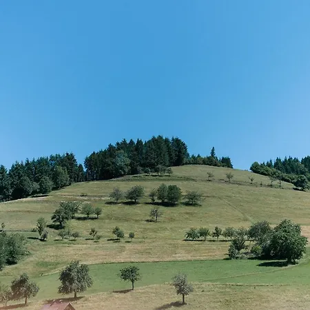 Moderne 3 Zi-fewo 
