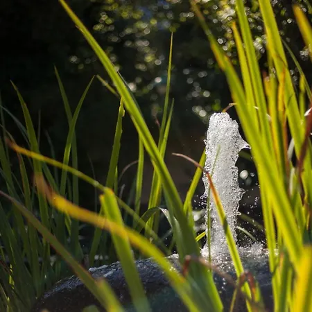 Appartement Moderne 3 Zi-fewo 