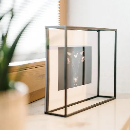 Appartement Moderne 3 Zi-fewo 